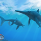 Artist’s impression of icthyosaurs.